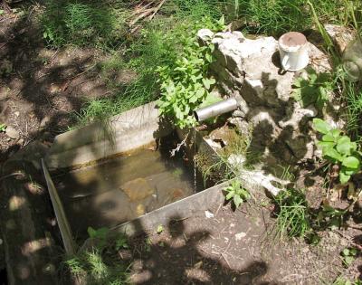 Прикрепленное изображение: IMGP6606.jpg